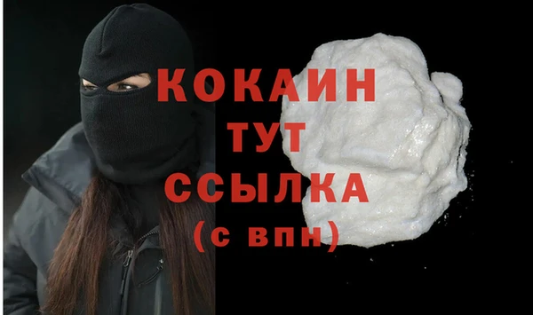 твердый Осташков