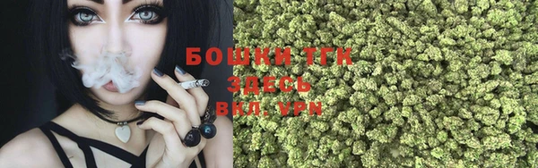 твердый Осташков
