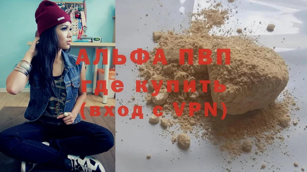 твердый Осташков
